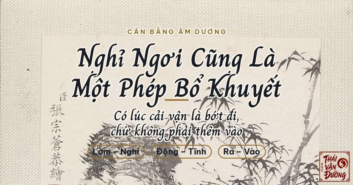 Cân Bằng Âm Dương Trong Cải Vận: Vì Sao Nghỉ Ngơi Cũng Là Một Phép Bổ Khuyết