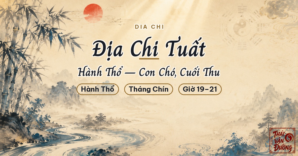 Địa Chi Tuất là gì? Ý nghĩa chi Tuất trong lá số Bát Tự và cách xem ngày giờ