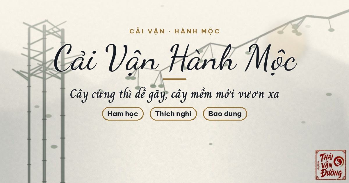 Cải Vận Bổ Khuyết Hành Mộc — Bổ Đúng Cách Để Đời Bật Sinh Khí