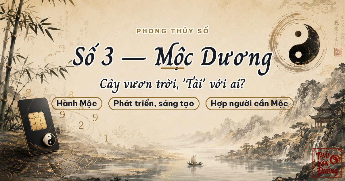 Ý Nghĩa Số 3 Theo Ngũ Hành: Mộc Dương — Cây Vươn Trời, "Tài" Với Ai?