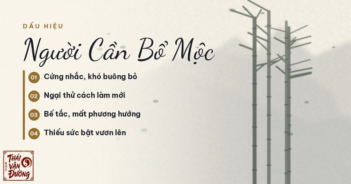 Dấu hiệu người cần bổ hành Mộc