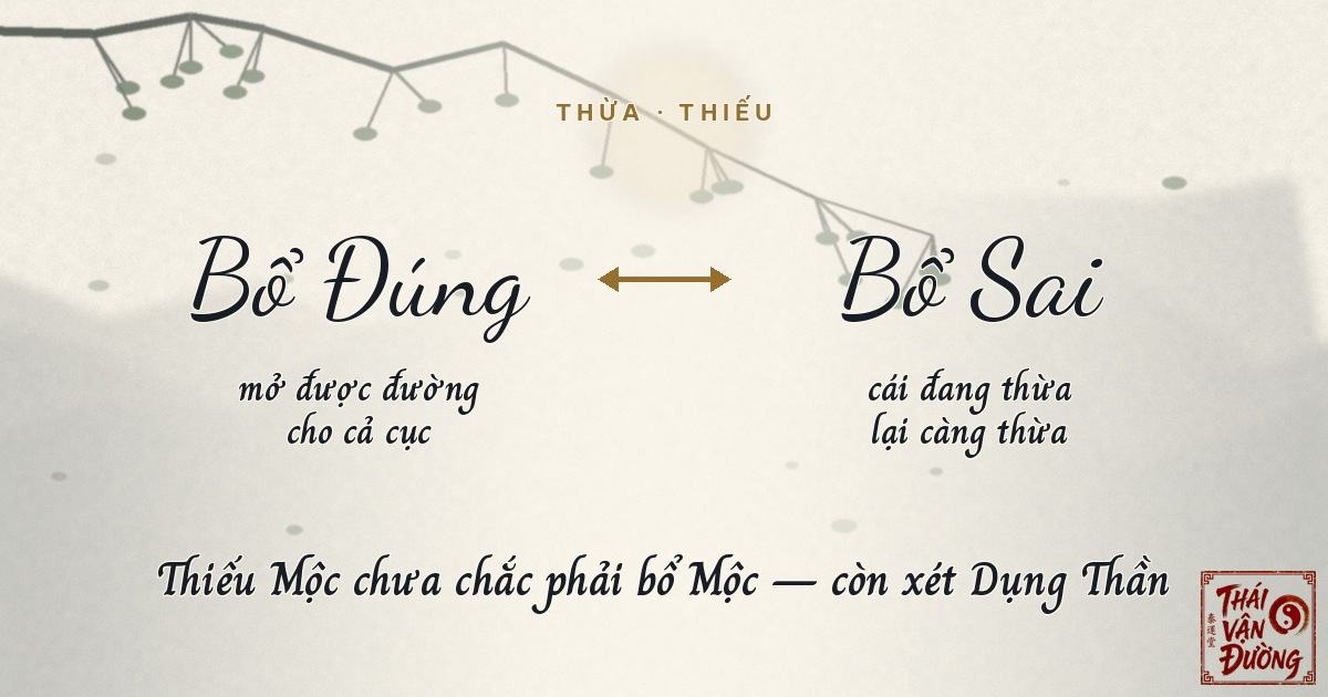 Bổ đúng và bổ sai hành Mộc