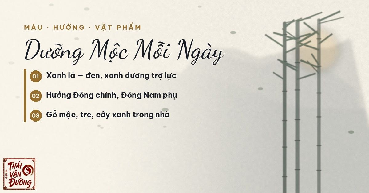 Màu sắc hướng vật phẩm hợp hành Mộc