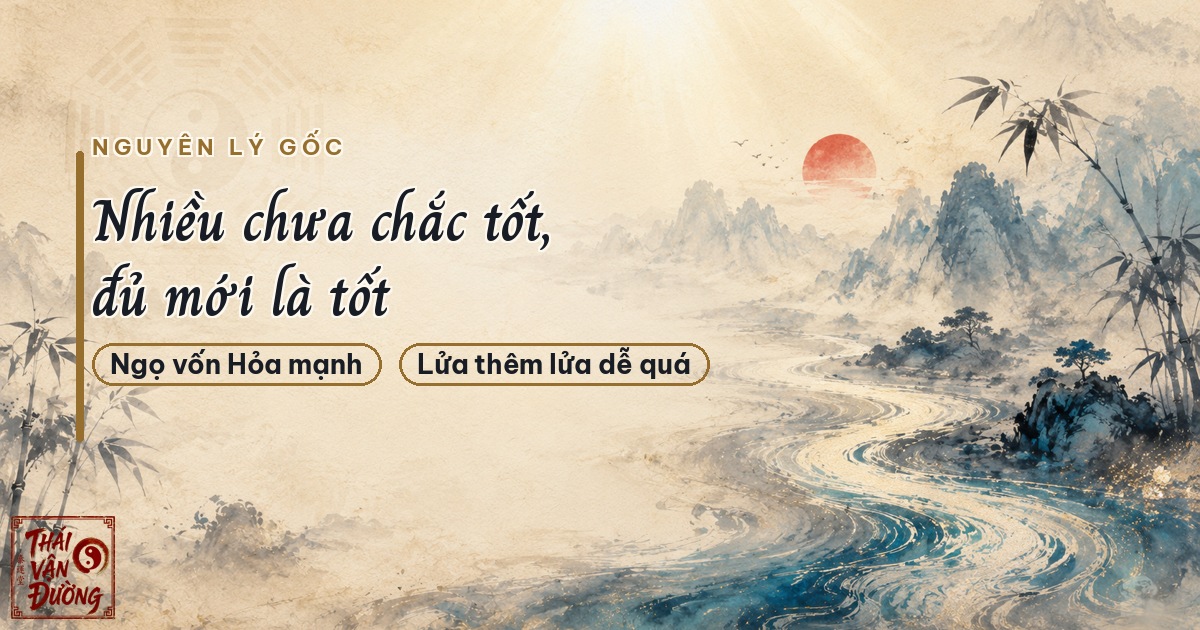 Tự hình nghĩa là gì