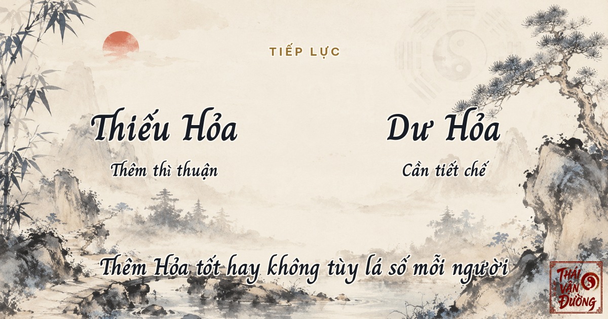 Tam hợp Dần Ngọ Tuất nghĩa là gì