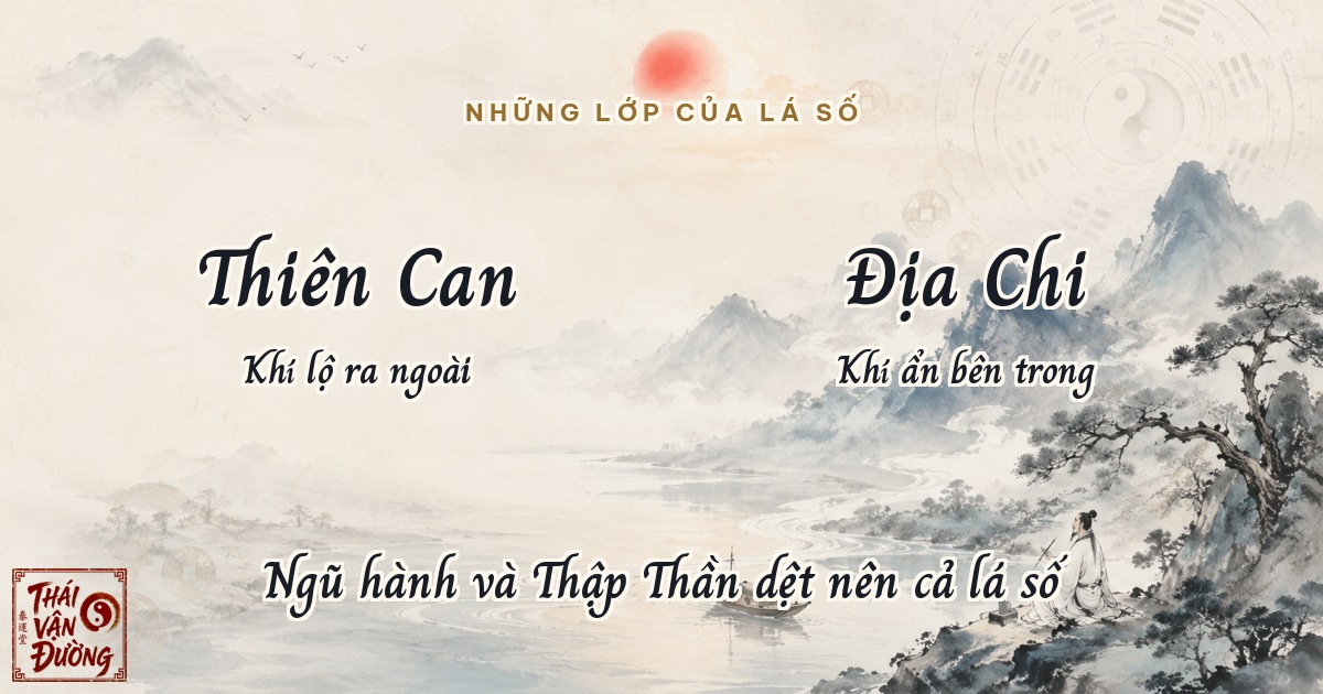 Các lớp lá số