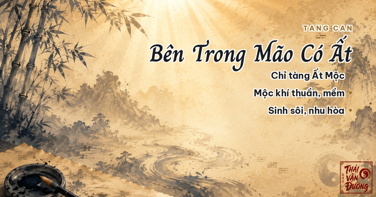 Tàng can bên trong địa chi Mão