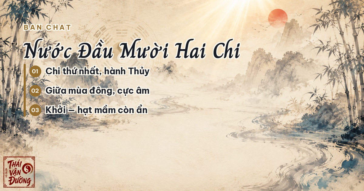 Bản chất