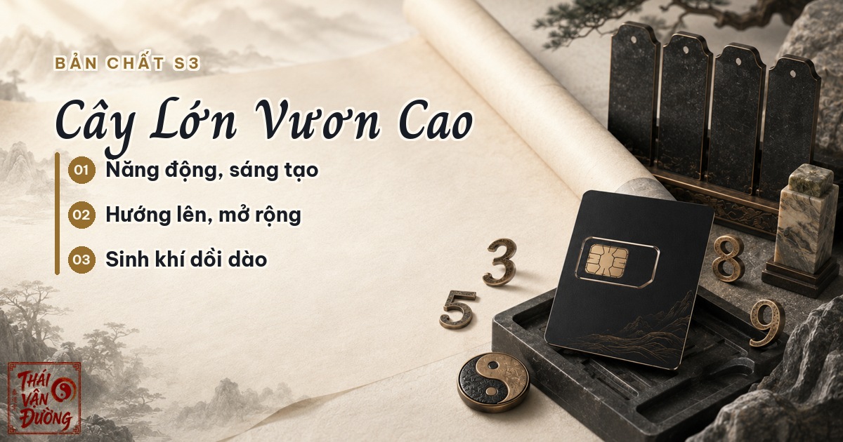 Bản chất