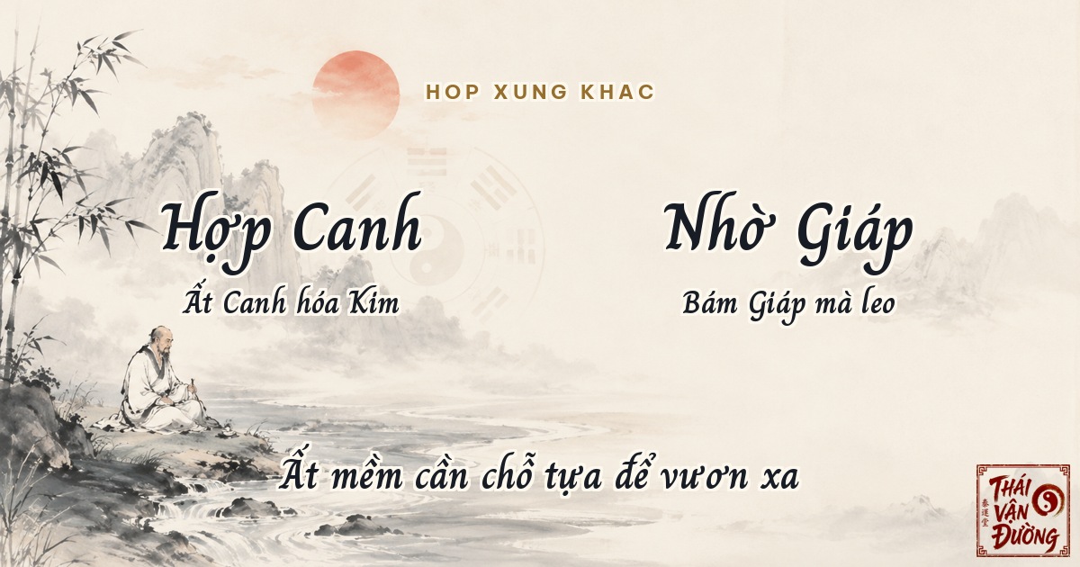 Thiên Can Ất hợp xung khắc với các can khác