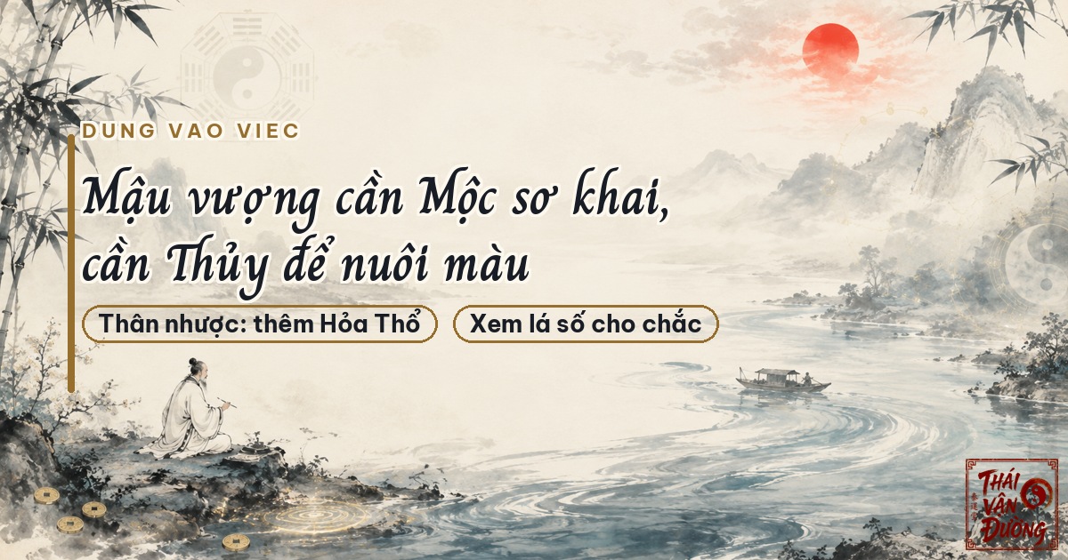 Dùng Thiên Can Mậu vào nghề nghiệp và hướng phát triển