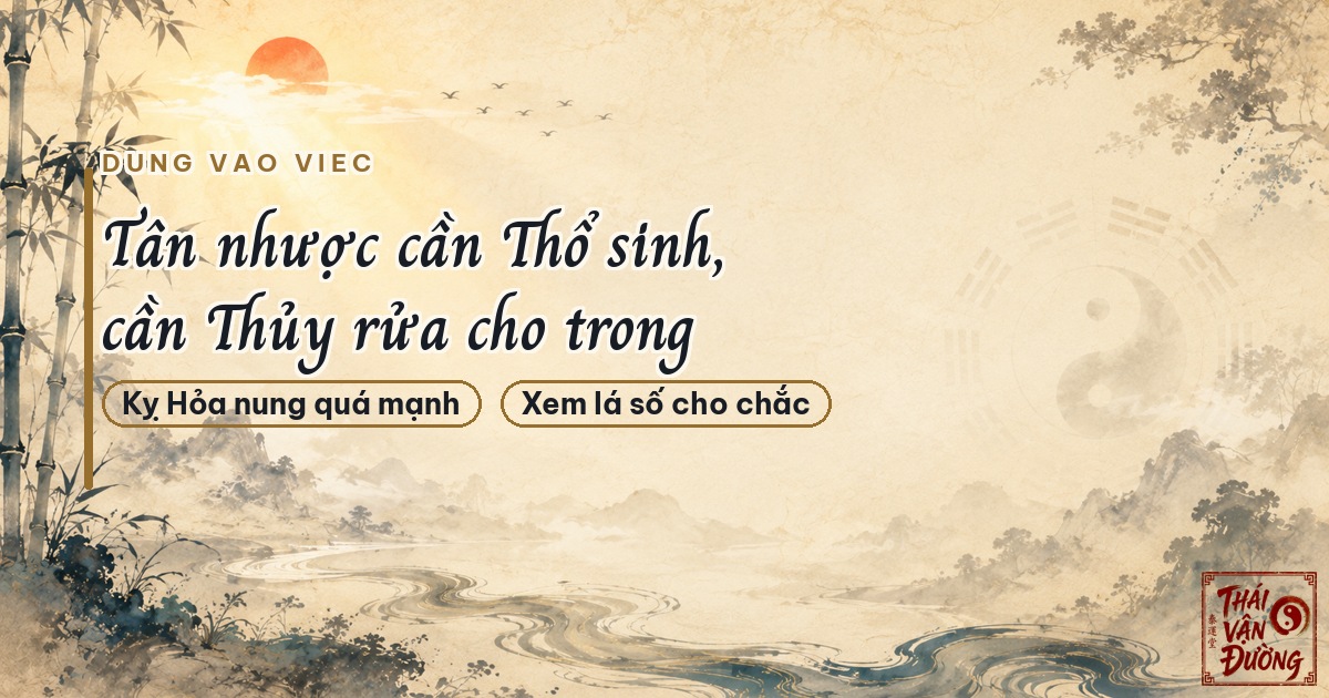 Dùng Thiên Can Tân vào nghề nghiệp và hướng phát triển