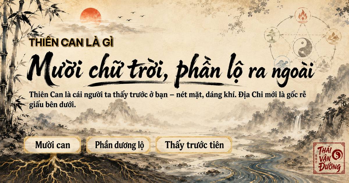 Thiên Can là cái lộ ra, Địa Chi là gốc rễ