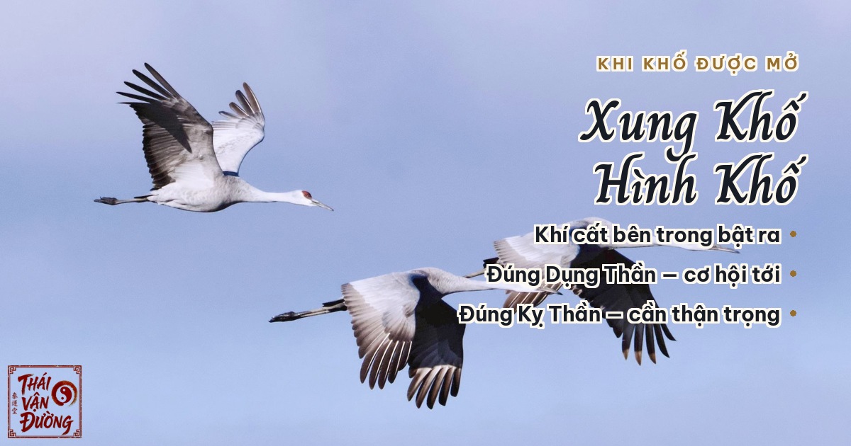 Xung khố hình khố