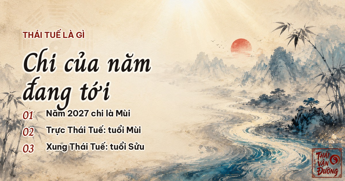 Thái Tuế là chi của năm đang tới trong Bát Tự