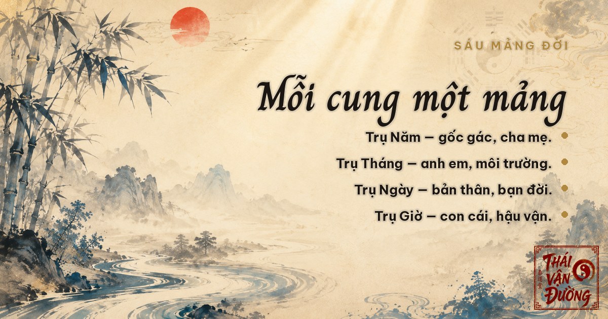 Sau mang doi trong la so
