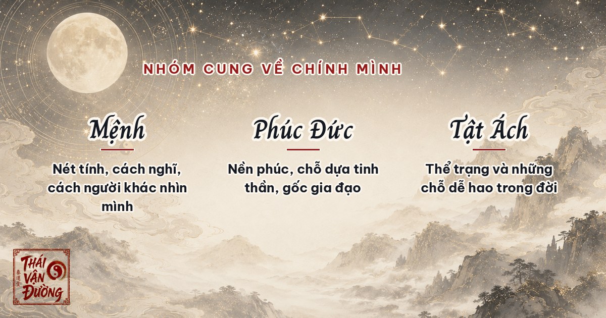 Nhóm cung về chính mình