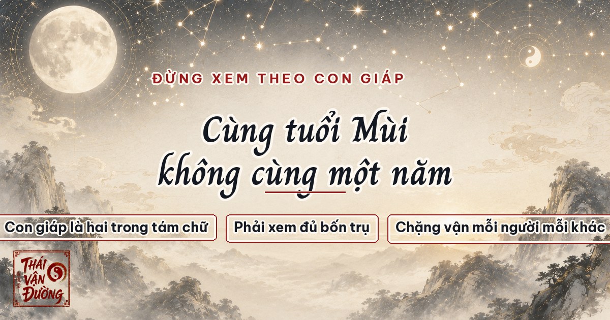 Đừng xem năm 2027 theo con giáp
