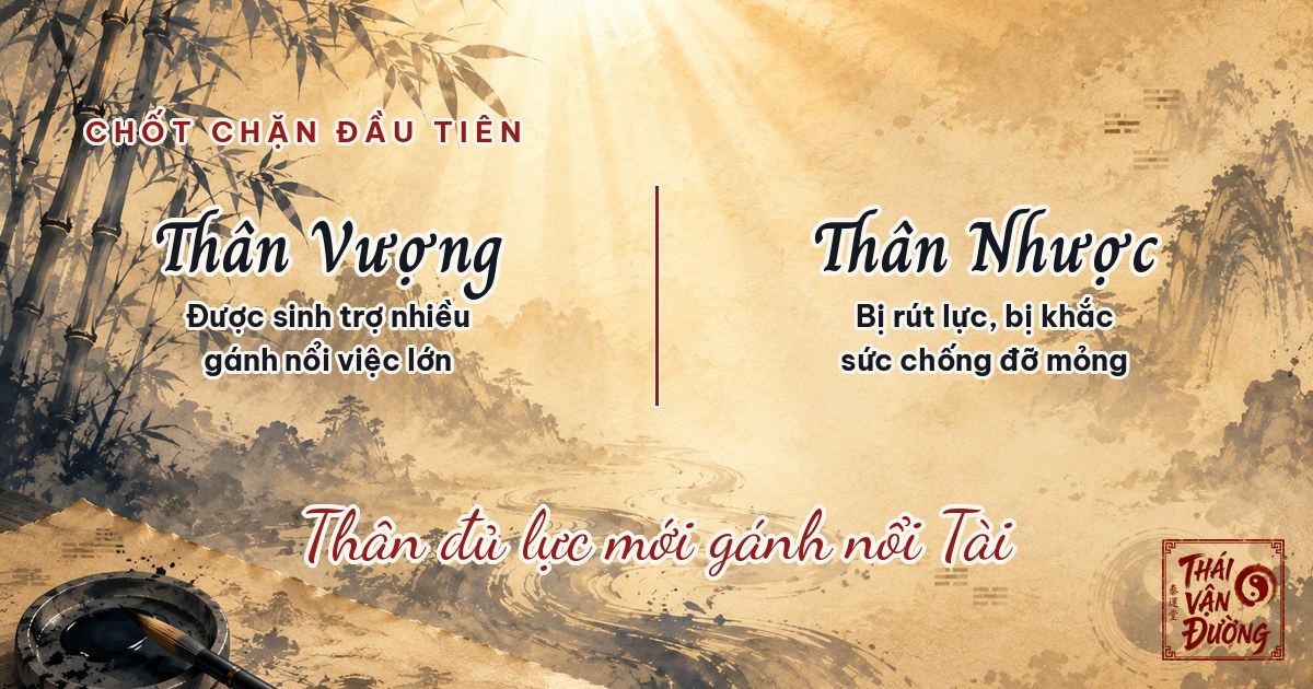 Thân vượng và Thân nhược khác nhau thế nào