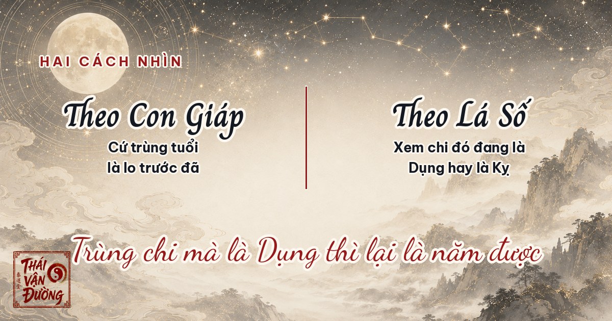 Nhìn năm tuổi theo lá số