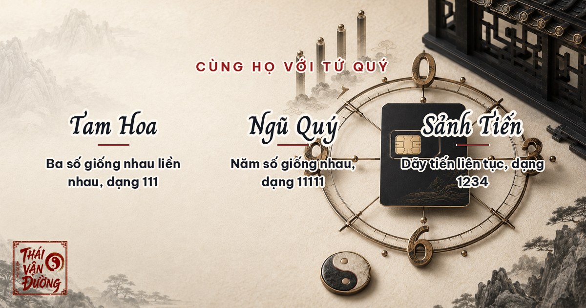 Tam hoa, ngũ quý, sảnh tiến cùng họ với tứ quý