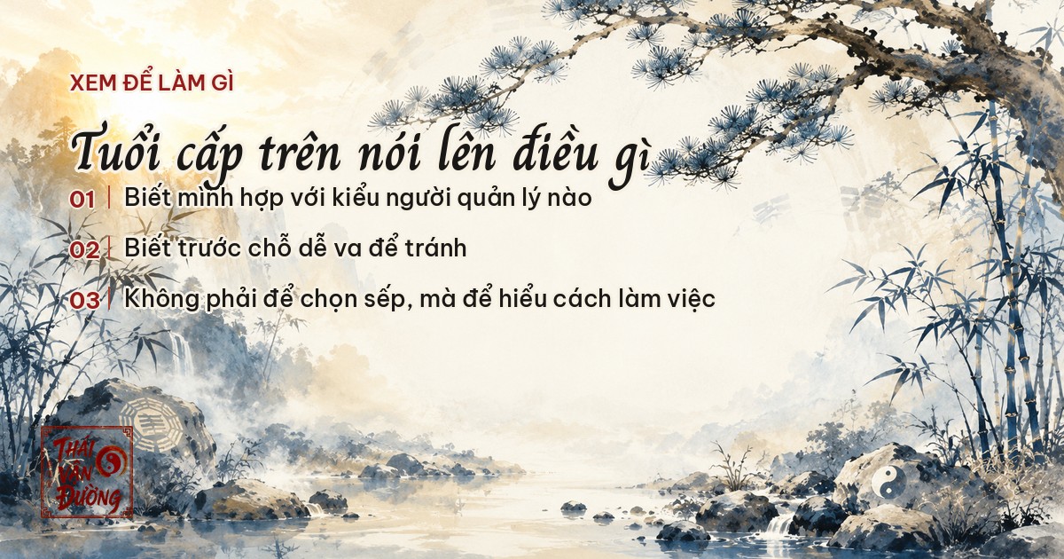 Xem tuổi cấp trên để hiểu cách làm việc, không phải để chọn sếp