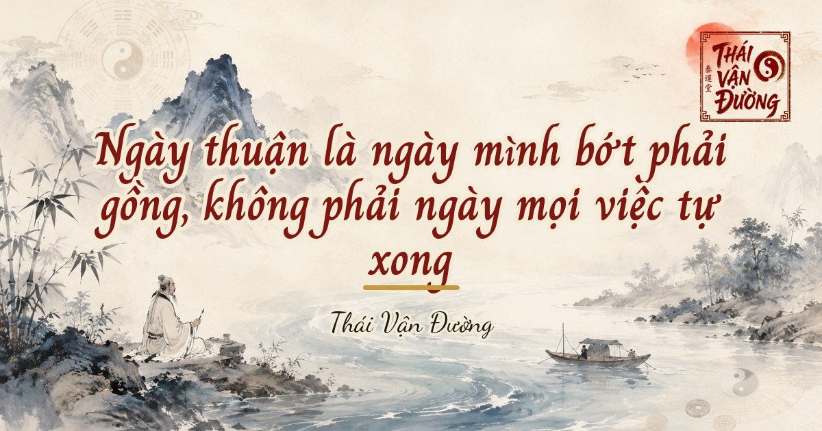 Ngày thuận là ngày mình bớt phải gồng, không phải ngày mọi việc tự xong