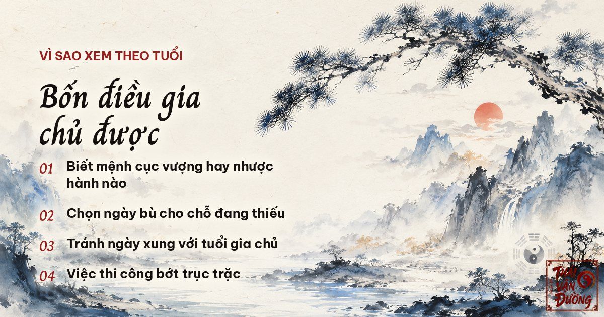 xem ngay dong tho