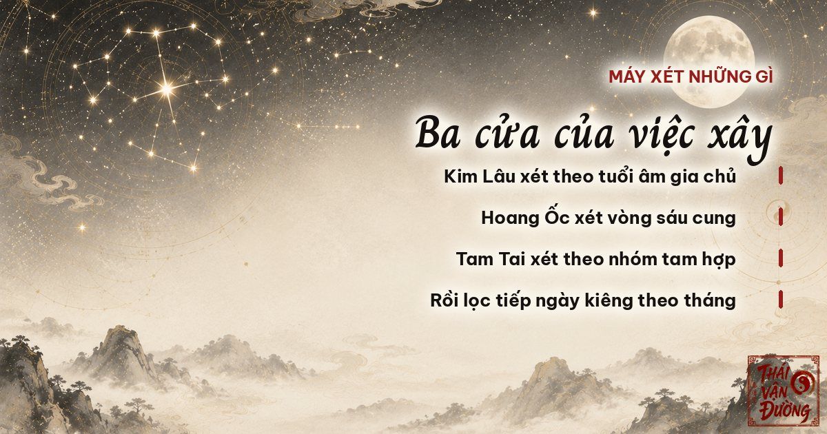 xem ngay do tran