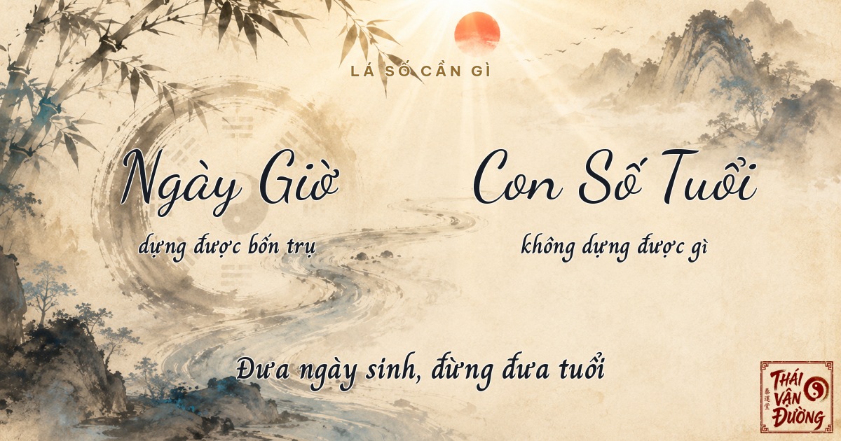 Lá số dựng từ ngày giờ sinh, không từ tuổi