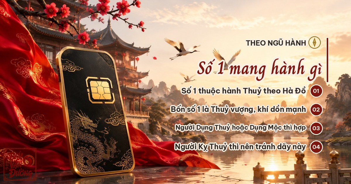 tuquy1-3-muc2